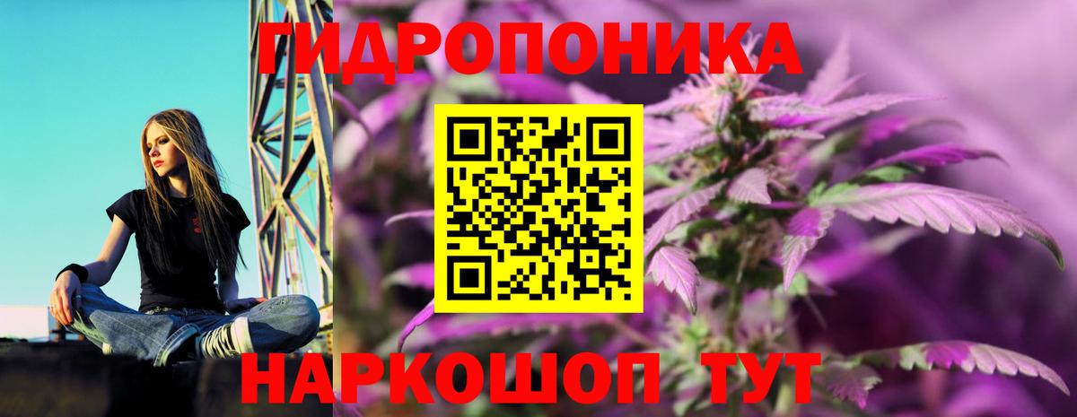 Канабис планчик  Шишки марихуана марихуана  Чехов  Вход с VPN  Бошки марихуана AK-47  Канабис семена 